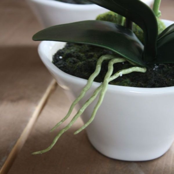 Kunstplanten waardoor de kunstplant niet alleen leuk is voor in huis