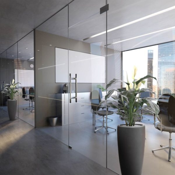 Spathiphyllum Deluxe 80cm 5