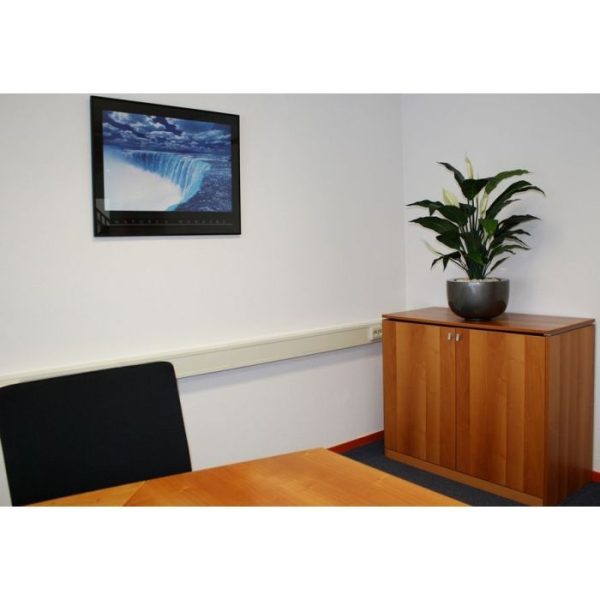 Spathiphyllum Deluxe 80cm 9