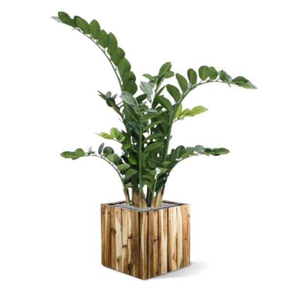 Groene kunstplanten ontstaat een hele luxe combinatie voor op kantoor!