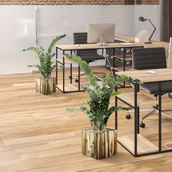 Zamioculcas-100-cm-kunstplant-5 Zamioculcas 100 cm kunstplant 5