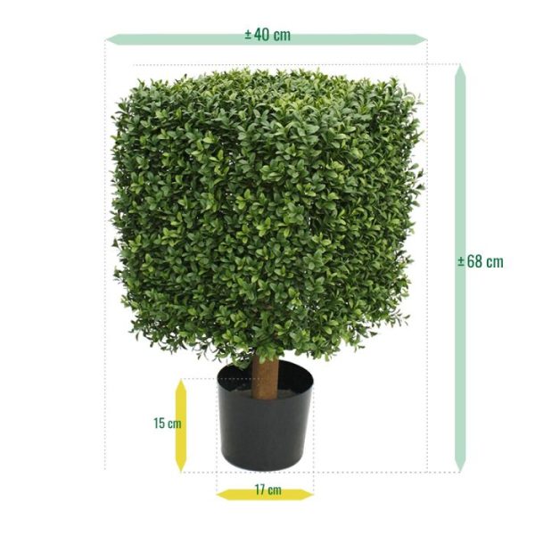 Buksus Vierkant 40 cm UV 2