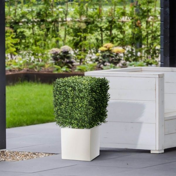 Buksus Vierkant 40 cm UV 4