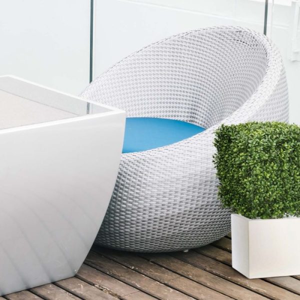 Buksus Vierkant 40 cm UV 5