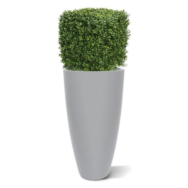 Buksus Vierkant 40 cm UV 8