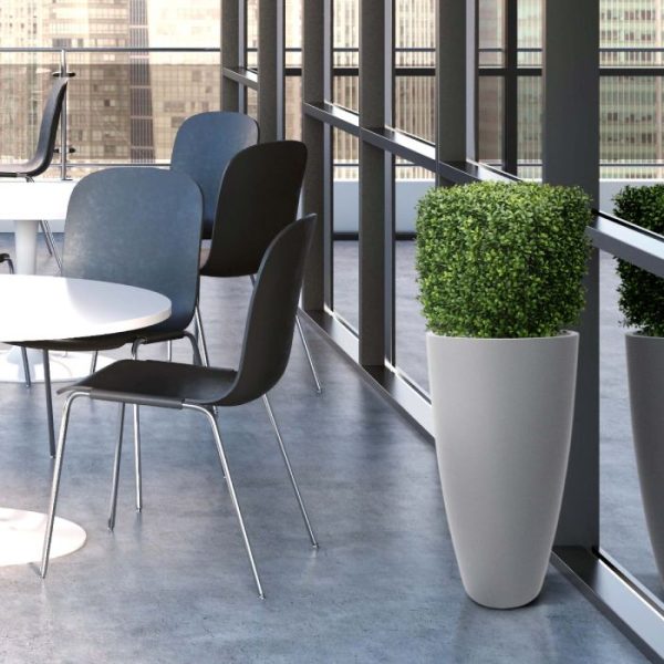 Buksus Vierkant 40 cm UV 9